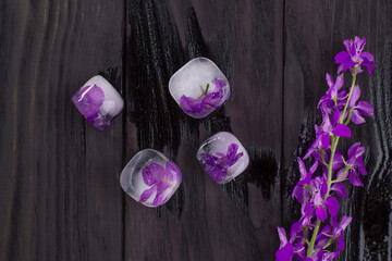 Purple flowers frozen in ice cubes on black wooden background