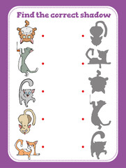 Find the correct shadow. Educational game for children. Cartoon vector illustration. 