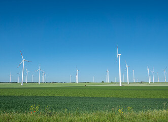 Windpark auf einem Feld im Sommer