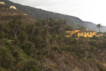 Fototapeta na wymiar Palmeral con casa colonial, Tenerife
