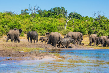 Fototapeta na wymiar The oldest national park in Botswana