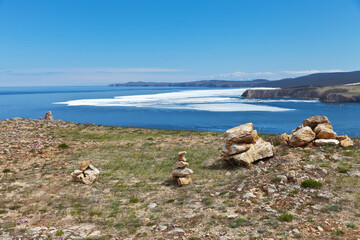 Baikal Lake. Springtime on Olkhon Island. The wild flowers of pink saxifrage bloom on the...