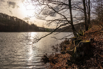 Lake  Jubachtalsperre  in forest in winter in Sauerland, Germany