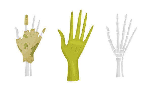 Hands and Paws of Fantastic Creatures and Monsters Vector Set