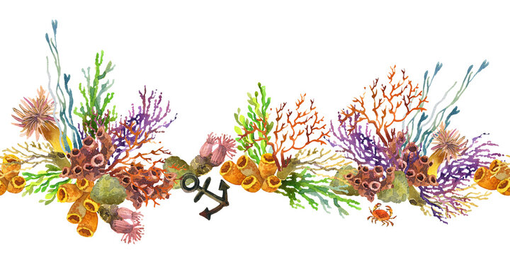 watercolor tropical  ocean Coral reef seamless pattern
