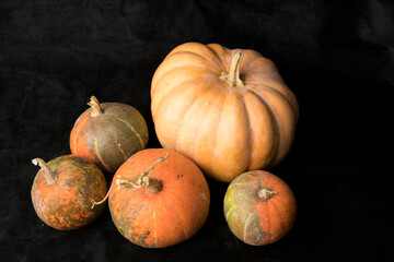 pumpkin, orange, autumn