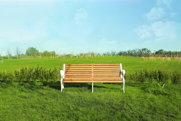 Beautiful park with green lawn and wooden bench on sunny day