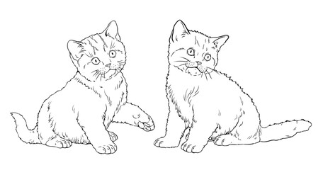 Cute kittens for coloring. Template for a coloring book with little cats.