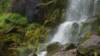 Naklejka premium waterfall in the forest, Seydisfjordur, Iceland