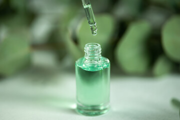The drop of eucalyptus oil hangs from pipette, pouring herbal essence oil into the glass dropper...