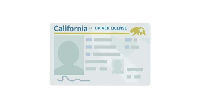 A hand presents a California driver's license on a white background (flat design)	
