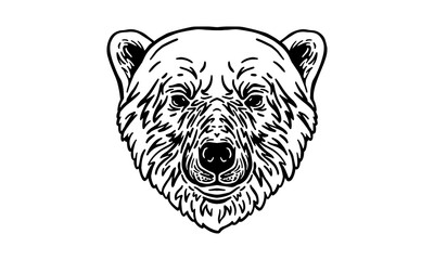 Polar bear portrait