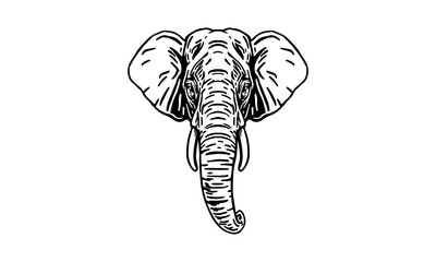 Sumatran elephant portrait
