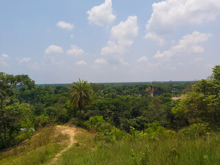 Obraz premium landscape with trees