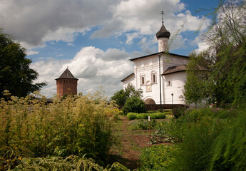 Fototapeta na wymiar Valerian plants in Spaso-Efimiev Monastery herb garden in Suzdal, Russia. 