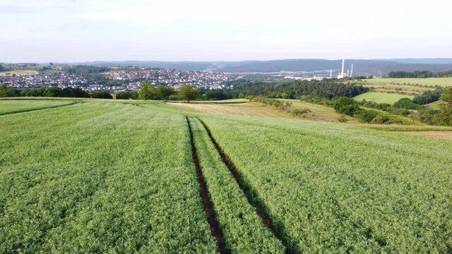 Drohnenaufnahme, Agrarlandschaft mit Erbsenfeld