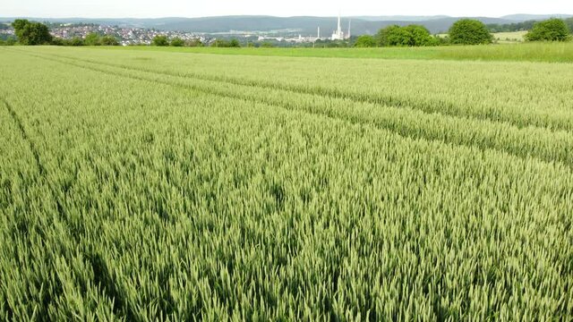 Drohnenaufnahme, Weizenfeld