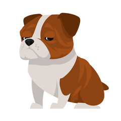 Sitting English bulldog. Beautiful pet in cartoon style.