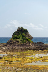 Fototapeta na wymiar 鹿児島県　徳之島のゴリラ岩