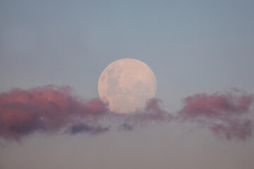 Moon rising over Canberra supported by its clouds © dajenk