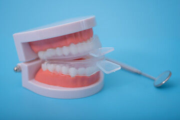 Fototapeta na wymiar individual tooth tray for whitening and mold. imitation of a denture