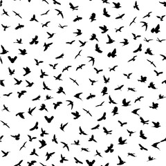 Fototapeta na wymiar Seamless pattern. Flying birds black silhouettes. Vector illustration. Illustration for web or typography (magazine, brochure, flyer, poster). EPS 10, high res JPG.