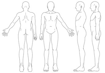 人体 素体 男性 三面図