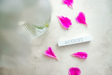 inscription august month on a wooden figure of a calendar in bloom of white fresh lush flowers with delicate pink petals and green leaves in light colors. white blooming peonies. calendar layout
