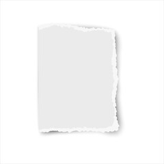 Ripped paper tear isolated on white background. Template paper design.