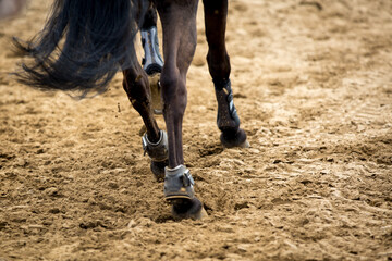 Horse Jumping, Equestrian Sports, Show Jumping themed photo.