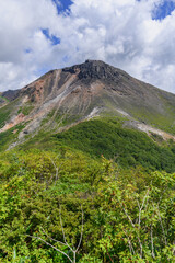 Fototapeta premium 夏の茶臼岳