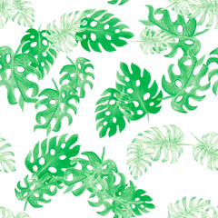 Natural Monstera Texture. Organic Seamless Garden. Pattern Garden. Watercolor Leaves. Tropical Garden. Floral Print. Summer Backdrop. Botanical Garden.