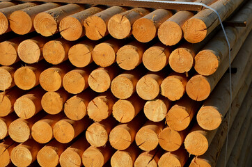 Czech wood production is processed into products for horticultural anchoring of trees. pointed...