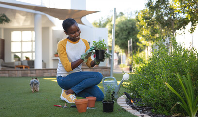 Smiling african american woman gardening, kneeling in garden holding plant, house in background