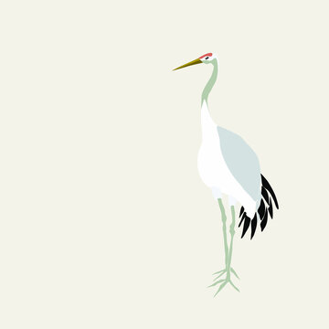 Vector illustration of a bird. A crane stands on two legs on a beige background with a copy of the space. Close-up