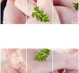 Collage of fresh raw chicken parts.Food concept.