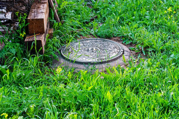 birch wood in the woodpile