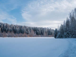 Snow-covered meadows and forest in the valley of the Stone Hill park on a frosty winter day. Beautiful landscape with conifer forest on snowy cloudy day. Frozen nature in fantastic white forest.
