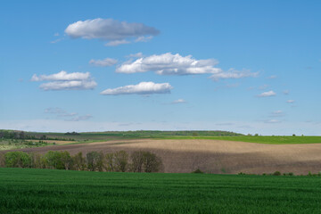Agricultural landscape Podilia region, South-Western Ukraine