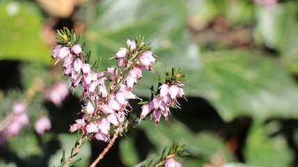 Hampstead Heath London
17th of April 2021