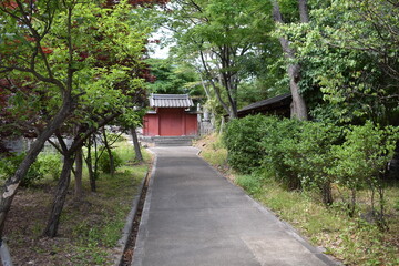 日本　長野　観光名所　善光寺　夏の風景