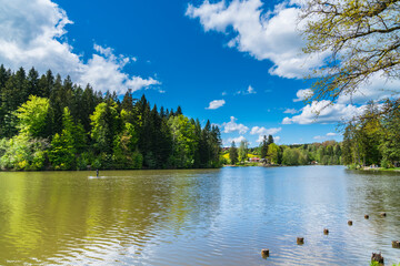 Germany, Perfect nature landscape of ebnisee lake water surrounded by forest and trees in swabian forest near kaisersbach and welzheim in summer