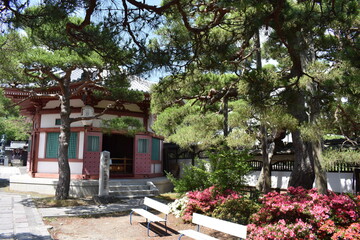 日本　長野　観光名所　善光寺　夏の風景