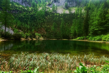 green grass on the shore from a mountain lake