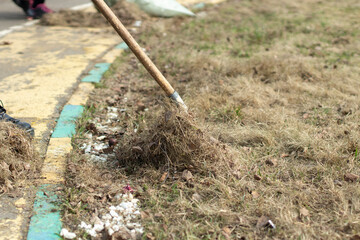 Cleaning of leaves with a rake. Cleaning the area from fallen leaves.