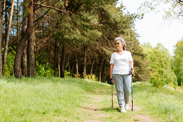 Cheerful senior woman walking in pine forest with Nordic walking sticks, sunny summer day. Elderly woman walking scandinavian outdoors. An active lifestyle in retirement, a hike in nature.