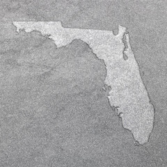 Map of Florida, silver background