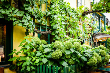 ウィーン、ハイリゲンシュタット、ベートーベンが住んだ家（ホイリゲ）と教会等の付近の情景