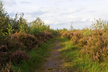 Haaksbergerveen, Netherlands