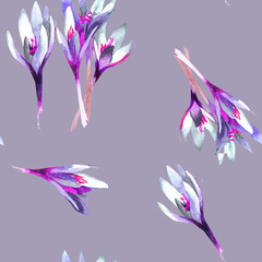 White violet crocus flowers watercolor on purple grey background seamless pattern for all prints.